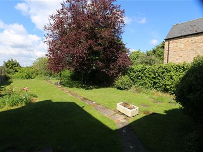 Picture 10